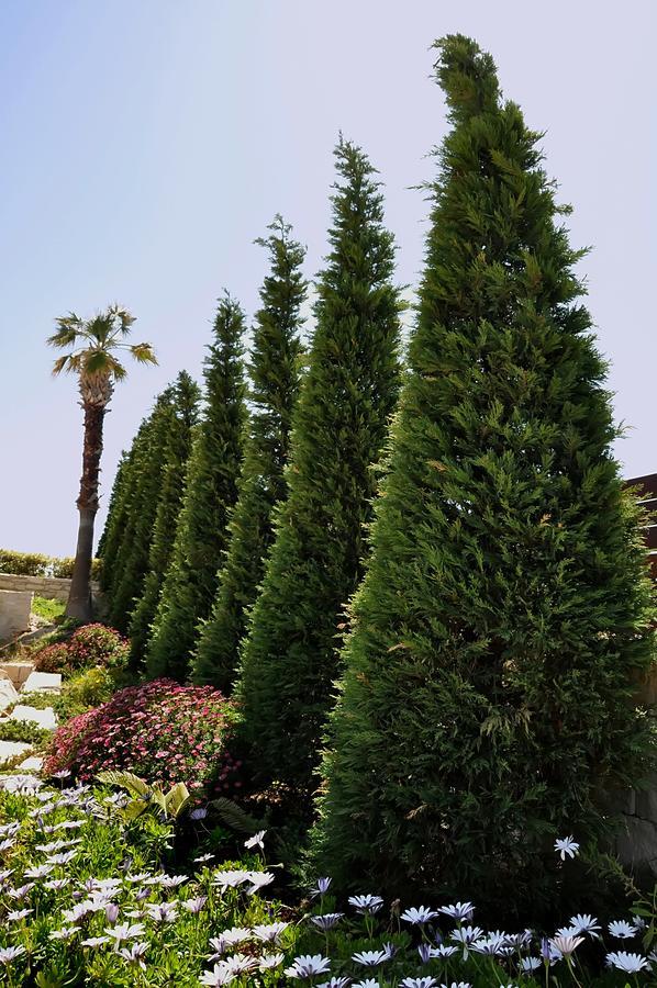 Ocean Villas Complex Agia Pelagia  Exterior photo